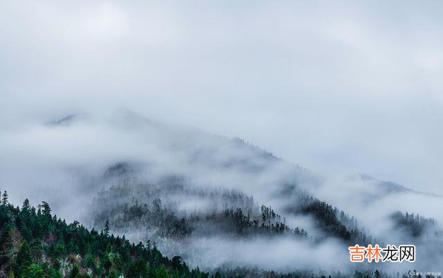 言语伤人 一个能好好说话的人，便是那个值得深交的对的人