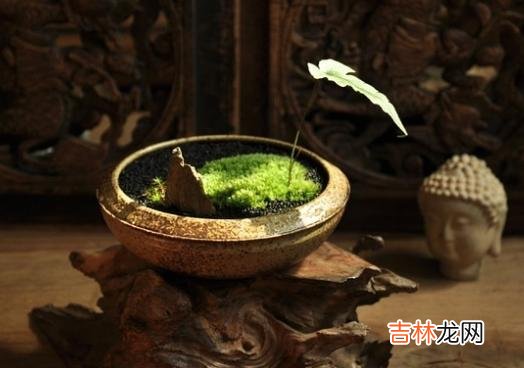 叔本华先生说：“人性一个人最特别的弱点就是——在意别人如何看待自己。|总喜欢营造一种“我很优秀”的假象，而原因，无非两种