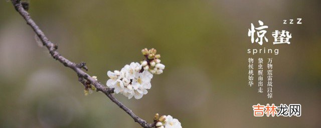 二十四节气中的惊蛰是什么意思  惊蛰的相关知识