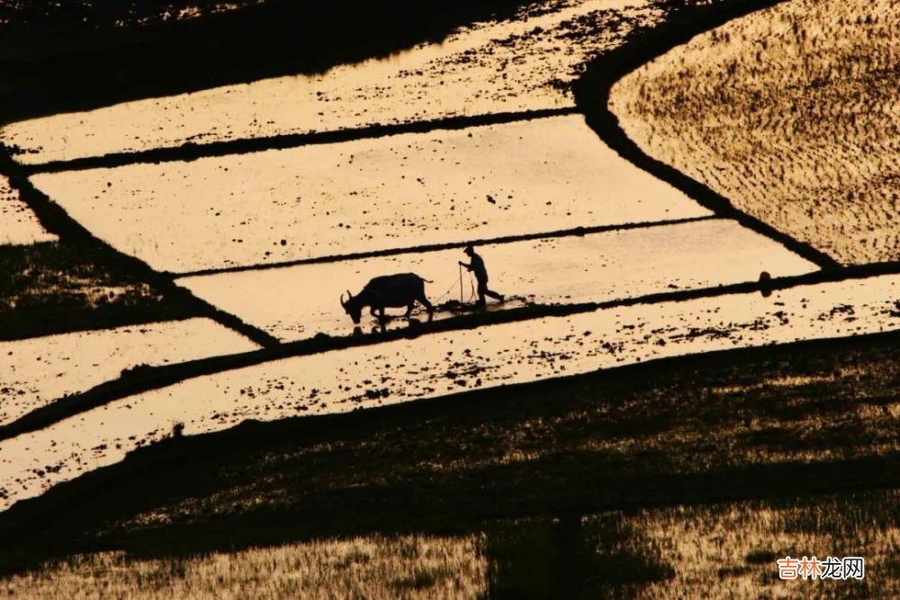 越深耕，越快乐