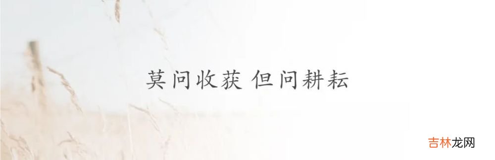 越深耕，越快乐