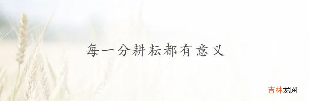 越深耕，越快乐