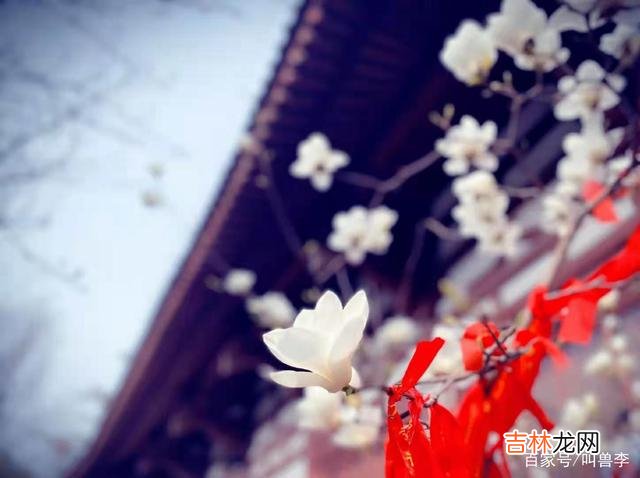 男人与女人之间的关系 没有爱的日子，跟没有太阳的天气一样，让人凋零落寞