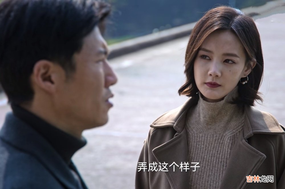 《狂飙》看到高启兰“守身如玉”20年，才懂孟钰为何要算计安欣