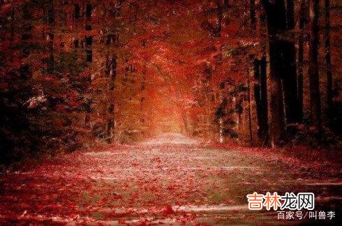 六六在《双面胶》中这样写道：结婚是错误 女人中年离婚后，就别复婚了，男人娶你的最真实原因与爱无关