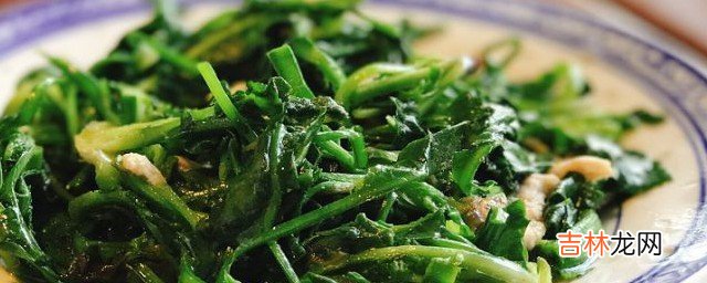 怎么做家常的清炒马兰头