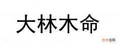 什么命最旺大林木命的人 大林木命的最佳配偶