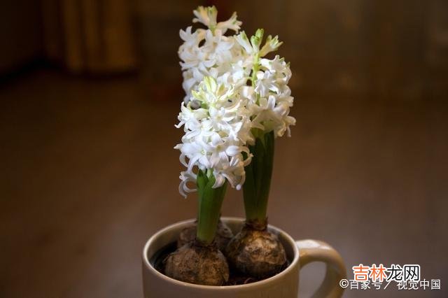 爱情是两情相悦 被分手之后，你是怎么做的？这些女人说了心底的话