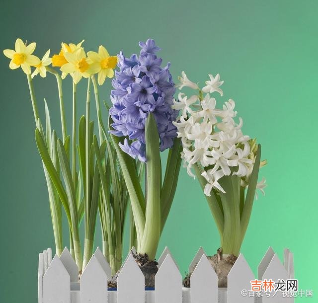 爱情是两情相悦 被分手之后，你是怎么做的？这些女人说了心底的话