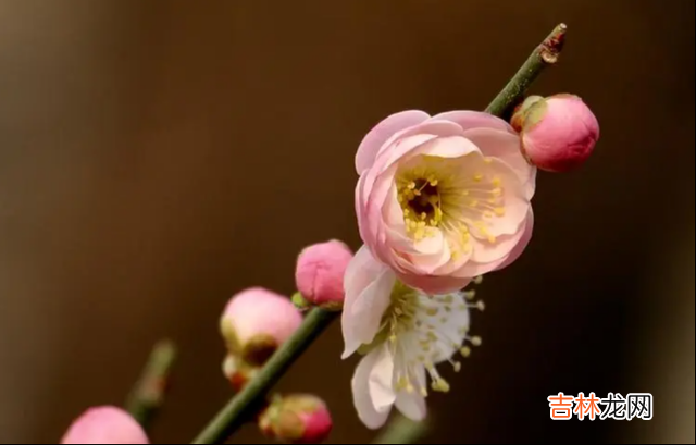 现在网上流传着一句话：“恋爱与结婚是两码事。|判断一个女人是否随便也很简单，就看她的身体语言