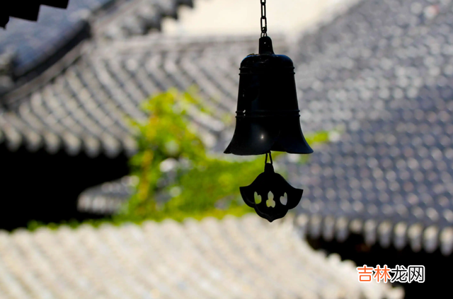 寒冬里的梅花总是令人惊喜 现实里往往低调的女人看上去更加高贵