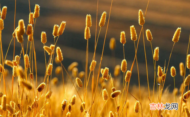 人世间最为复杂的关系 两个灵魂能够契合，往往是因为他们都有同一个目标