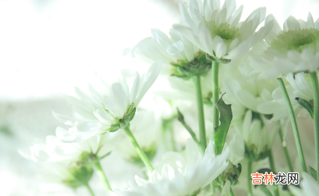 你交到了什么样的朋友 你想要知道一个人的人品如何,从他生活里的小细节就能看出