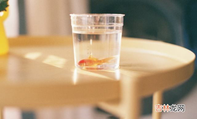 有些人对于“过日子”一词有着误区。|男人会不会过日子，看他是否有清晰的主观意识