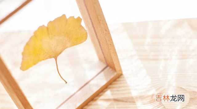 俗话说：“爱美之心 这些种种其实都反映了：长相真的很重要