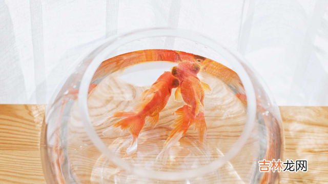 俗话说：“爱美之心 这些种种其实都反映了：长相真的很重要