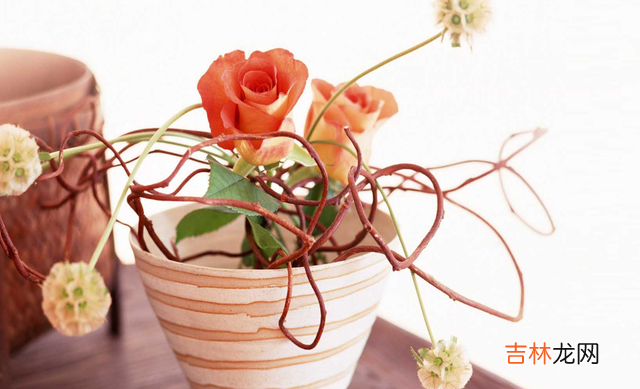 俗话说：“爱美之心 这些种种其实都反映了：长相真的很重要