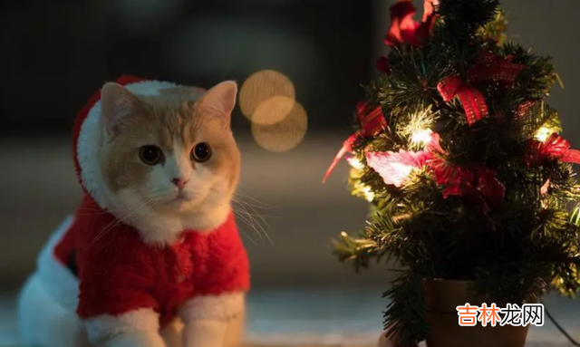 听闻一句话:“金钱面前人人平等 一个人即将富有,定然会变得自律低调,不会在乎眼前之利