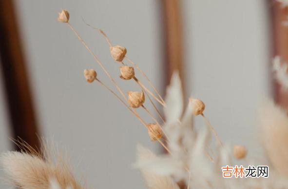 人与人的性格不同 懂事，是一个很残忍的词，也是孩子们最讨厌的词