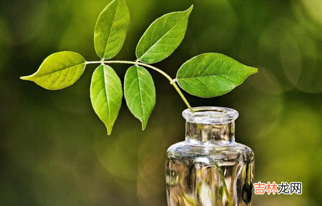 俗话说:“女人是一个家庭最好的风水。|若你要结婚,婚前一定要看清另一半的品质