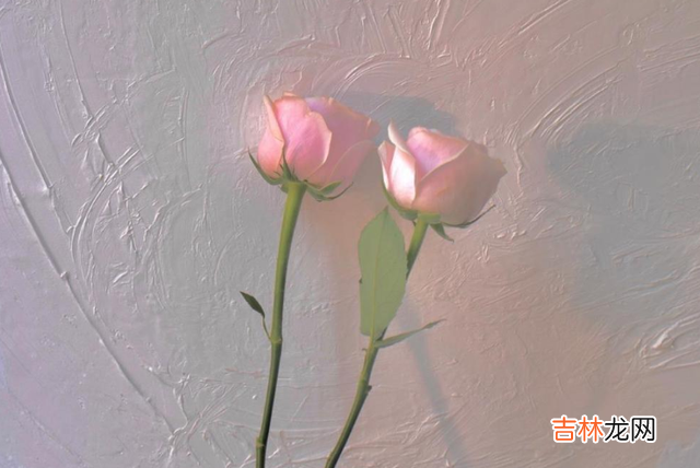 在约翰·戈特曼《幸福的婚姻》里出现了“四大骑士”的说法 一段没有沟通的婚姻，很快就会如昙花一现般凋零