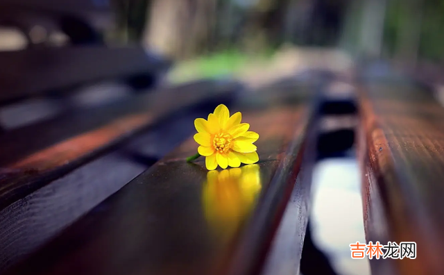 想要真正的走进一个女人的心里 对待女人的时候,不要将自己抛得一干二净,要有所隐藏