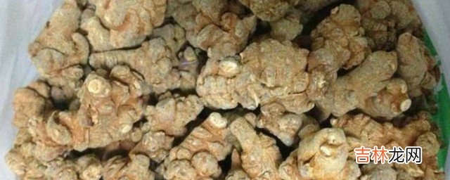 三七铜皮铁骨狮子头是什么意思 什么是三七铜皮铁骨狮子头