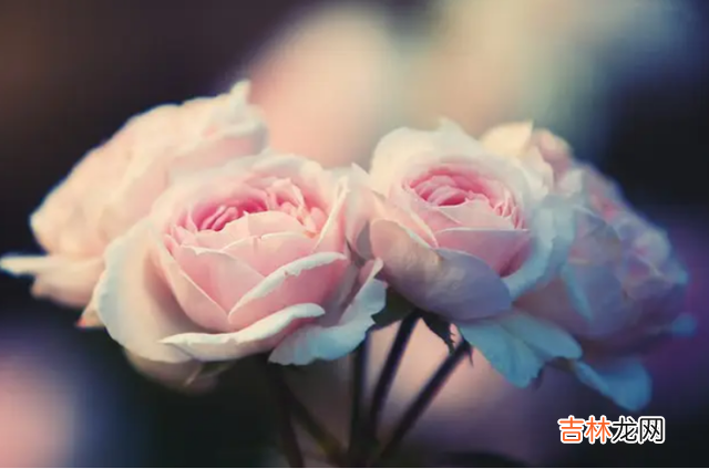 网上最近流传着一个梗叫做：“王宝钏挖野菜。|男人若想要让女人动情，就好好在这些方面提升自己吧