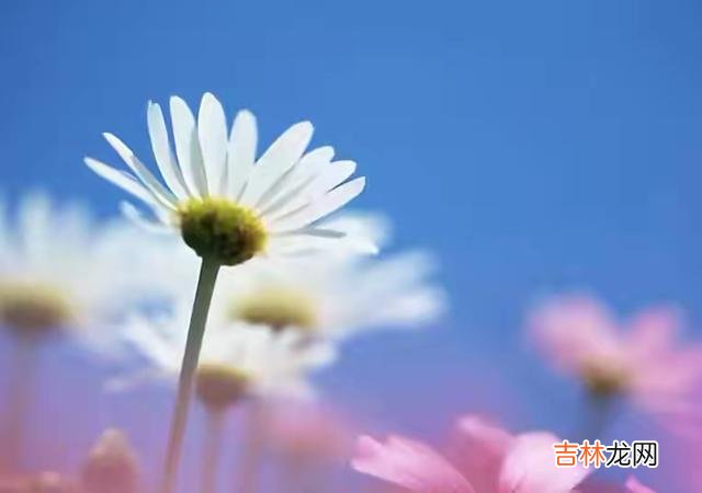 1.养成阅读的习惯等于为自己建起一个避难所 不管在什么时候，一个人都不要放弃读书，因为读书会让你增长智慧