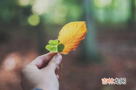 男女在交往的时候 一般能主动对你说这三个字的男人，一定很爱你的