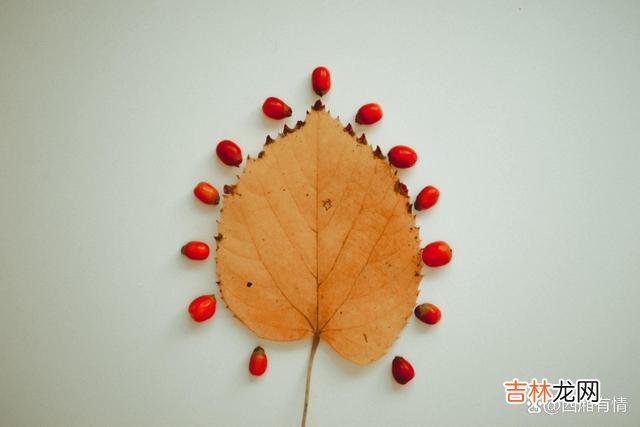 身边经常会有朋友这样问我：“分手后 分手后，忘记一个人最好的方式，是做好这三件事