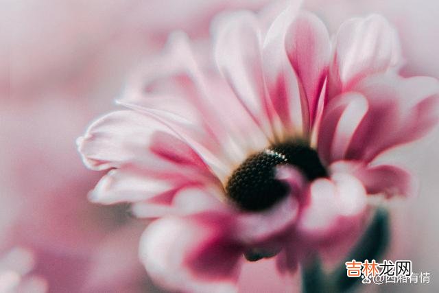 《围城》里有这样一句话：“婚姻是一座围城 婚后婆家说这些话，说明他们一直把你当外人