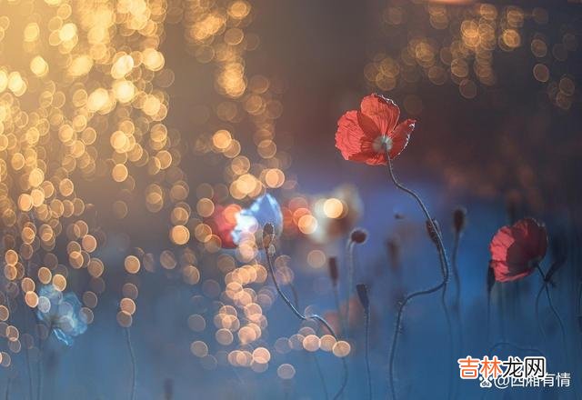可能在很多人固有的思维当中 聪明人三不说，越不说越有福气
