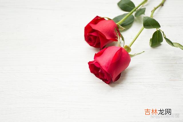 -01-“一生一代一双人 所有的放手，都是不爱了，别自我欺骗