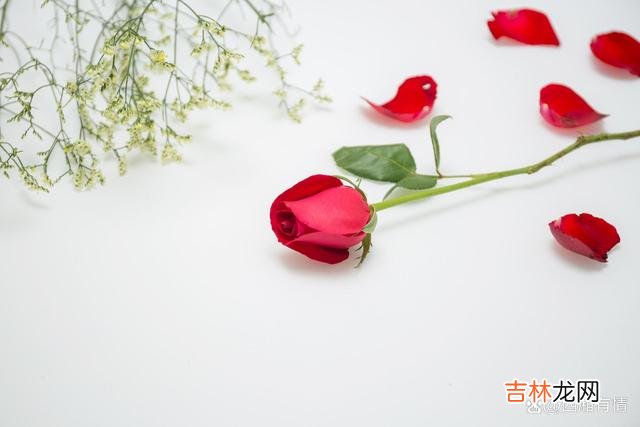 -01-“一生一代一双人 所有的放手，都是不爱了，别自我欺骗
