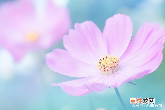 让男人爱上你的技巧，其实就是展示价值