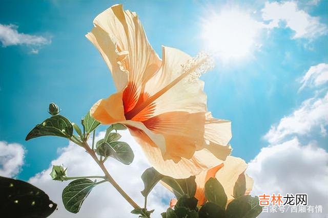 让男人爱上你的技巧，其实就是展示价值