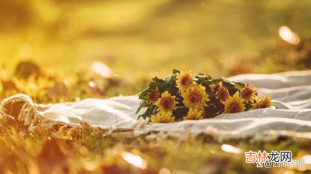 老人常说 在工作中,这三种同事,会成为你的贵人,好好用心经营吧!