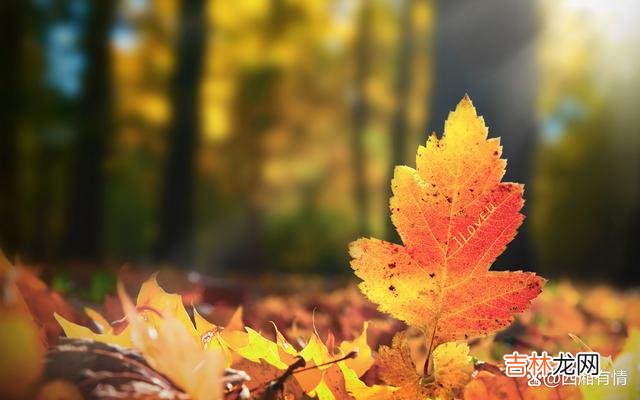 老人常说 在工作中,这三种同事,会成为你的贵人,好好用心经营吧!