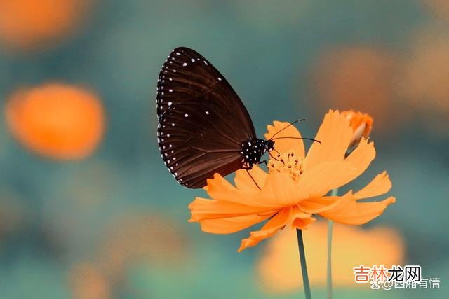 人们常说:“人生不如意之事十有八九。|当你被看不起的时候,这样反击,会显得你情商很高