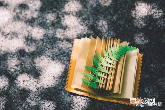 -01-这世间从来都没有无缘无故的仇恨 兄弟姐妹之间变成仇人，最大的一个因，来自于父母的偏爱