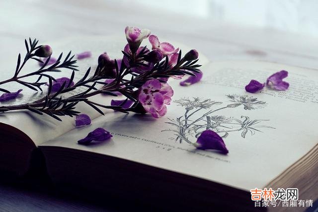 能陪你看雪看月亮的人很多 情谊长存，不是夫妻胜似夫妻