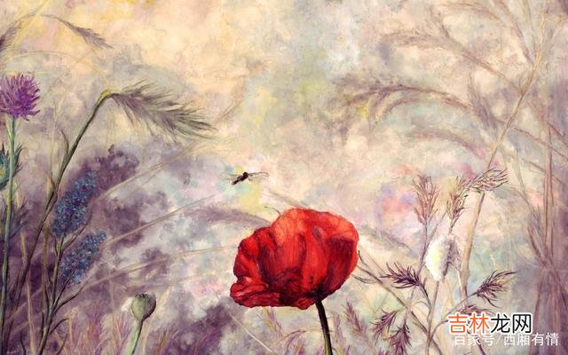 在感情面前 想撩一个女人时,要巧用“弃猫效应”才能让她对你死心塌地