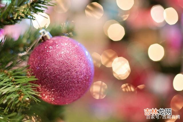 在感情面前 想撩一个女人时,要巧用“弃猫效应”才能让她对你死心塌地