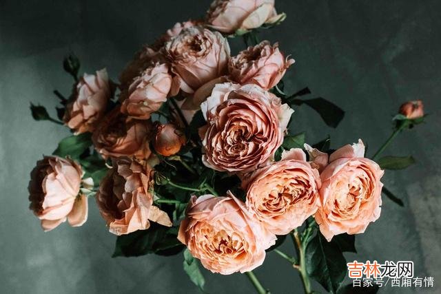 婚姻 为什么结婚后，男人大都不愿意和女方父母同住？答案很现实