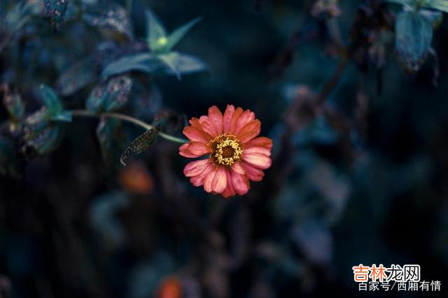 你还在为了思念某一个人而选择晚睡吗？你还在辗转反侧 男女之间的相处，并不是简简单单的黏腻，它其实也是有技巧的