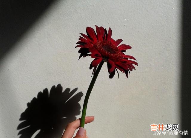 你还在为了思念某一个人而选择晚睡吗？你还在辗转反侧 男女之间的相处，并不是简简单单的黏腻，它其实也是有技巧的