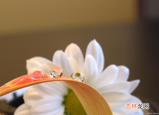 01序言人这一生 人这一辈子，活出自我，要无愧我心、共享安好、乐享百年