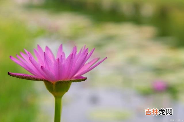 01序言人这一生 人这一辈子，活出自我，要无愧我心、共享安好、乐享百年