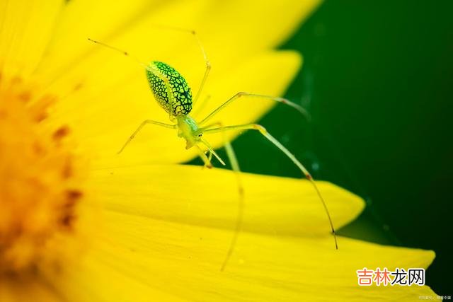 人生旅程 人生开心大法宝，知足常乐活到老